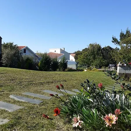 Cork House Apartment Vila Praia de Ancora Exterior photo